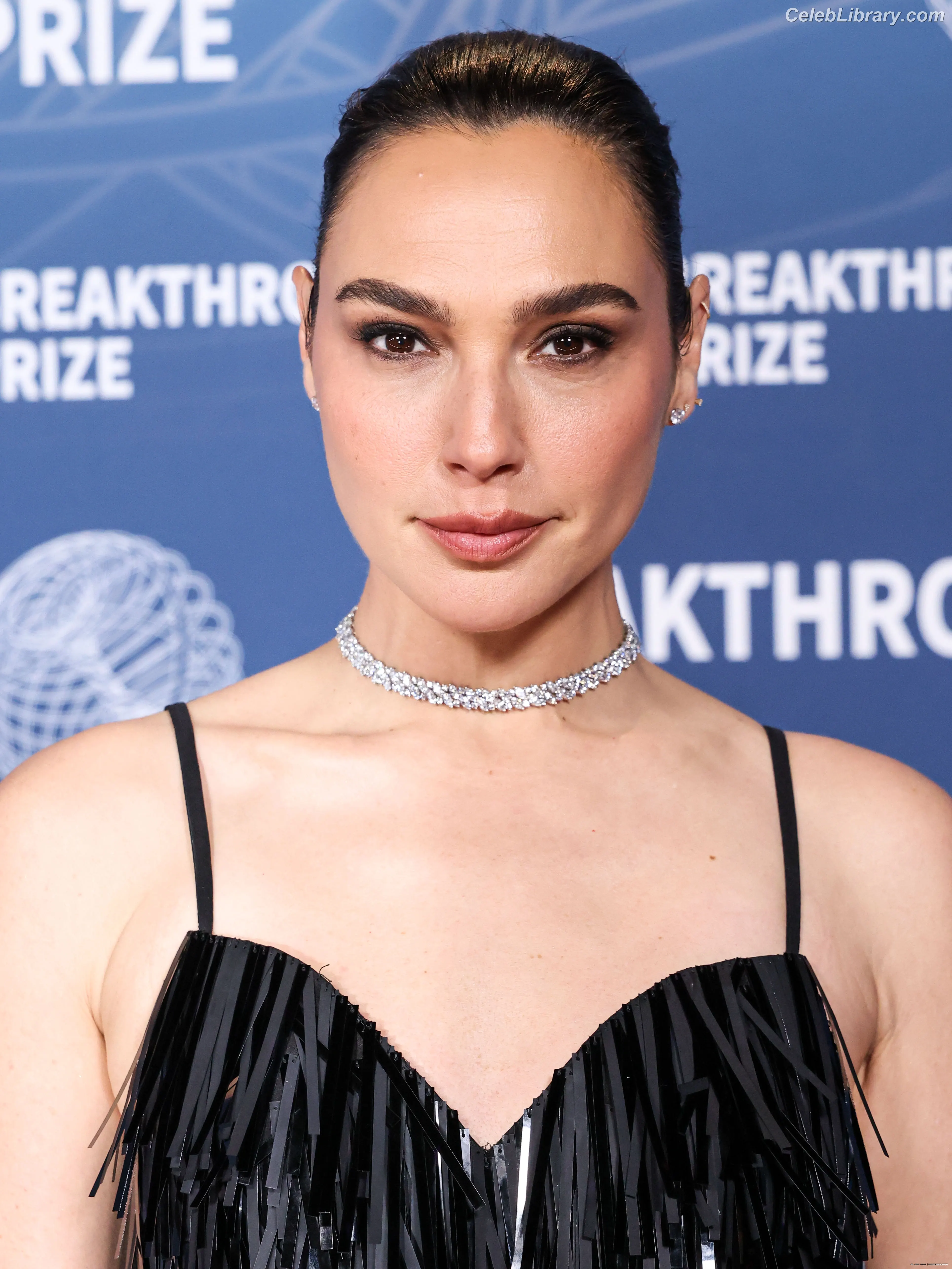 Gal Gadot photo 21 of 1473