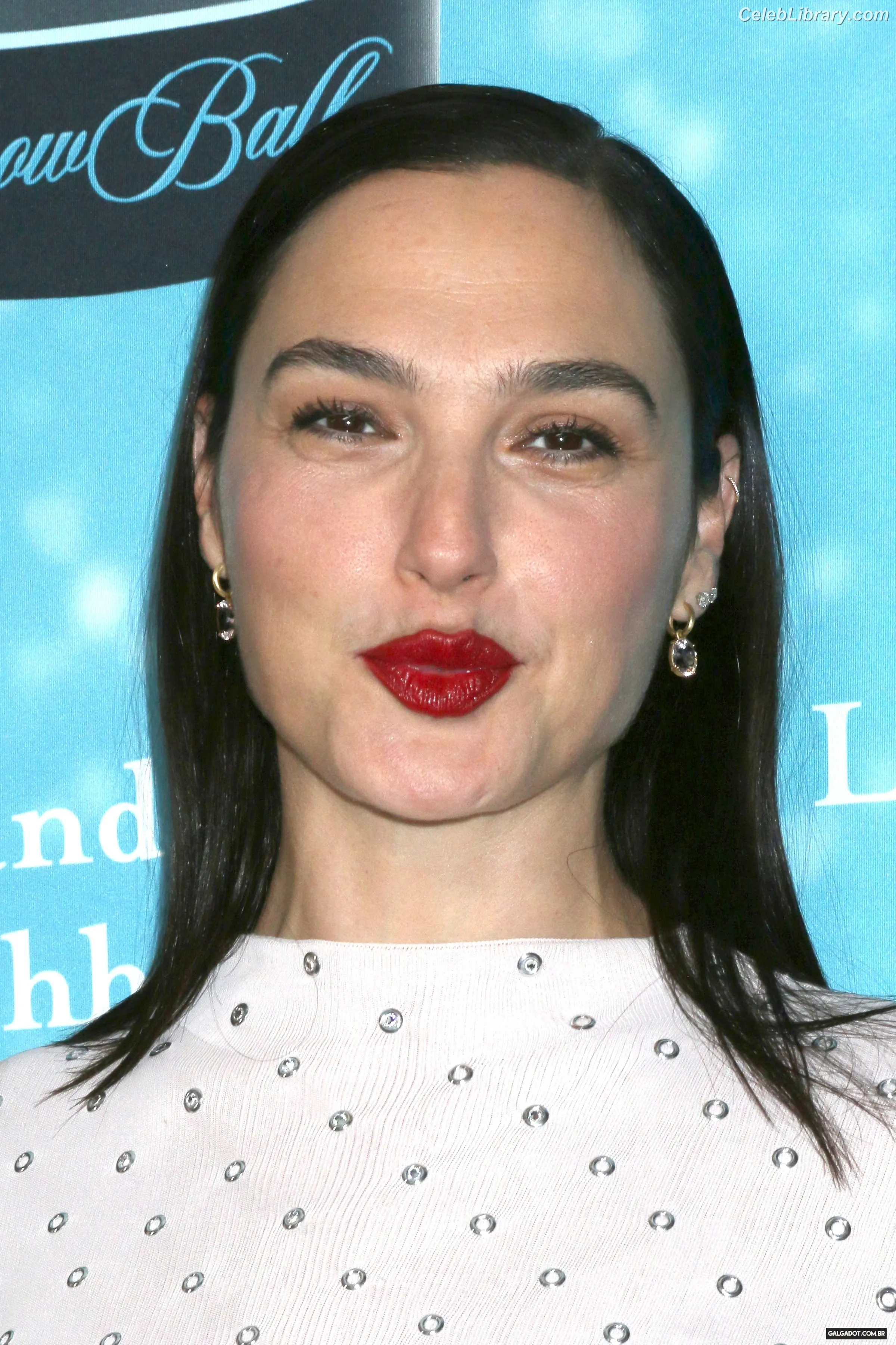 Gal Gadot photo 22 of 1473