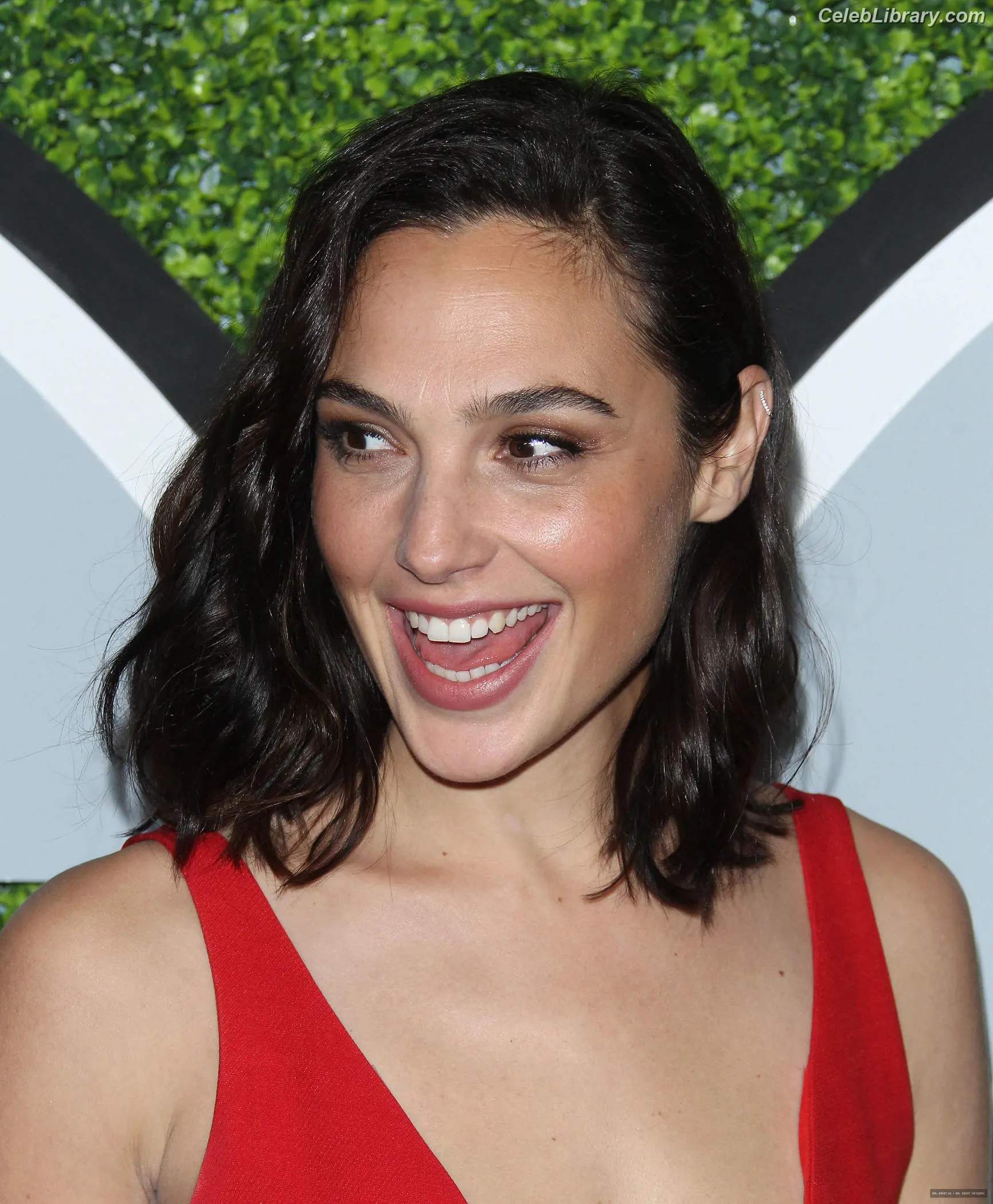 Gal Gadot photo 16 of 1473