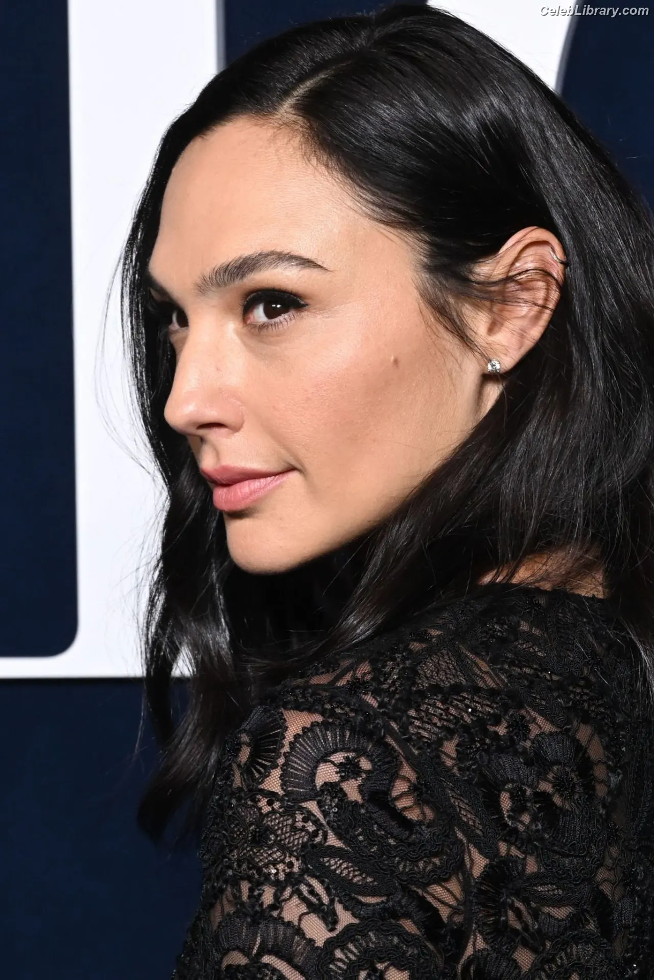 Gal Gadot photo 18 of 1473