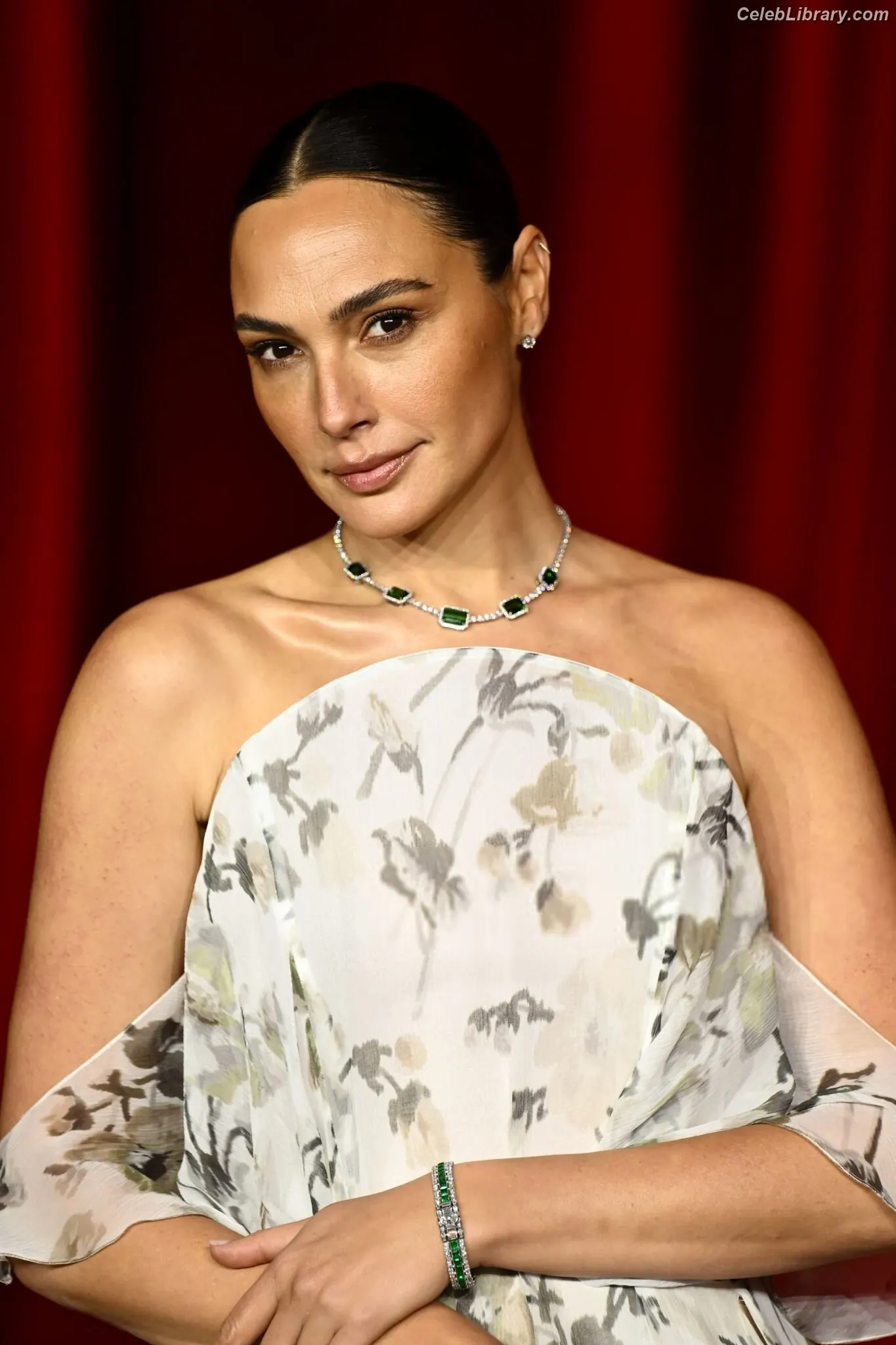 Gal Gadot photo 1 of 1473