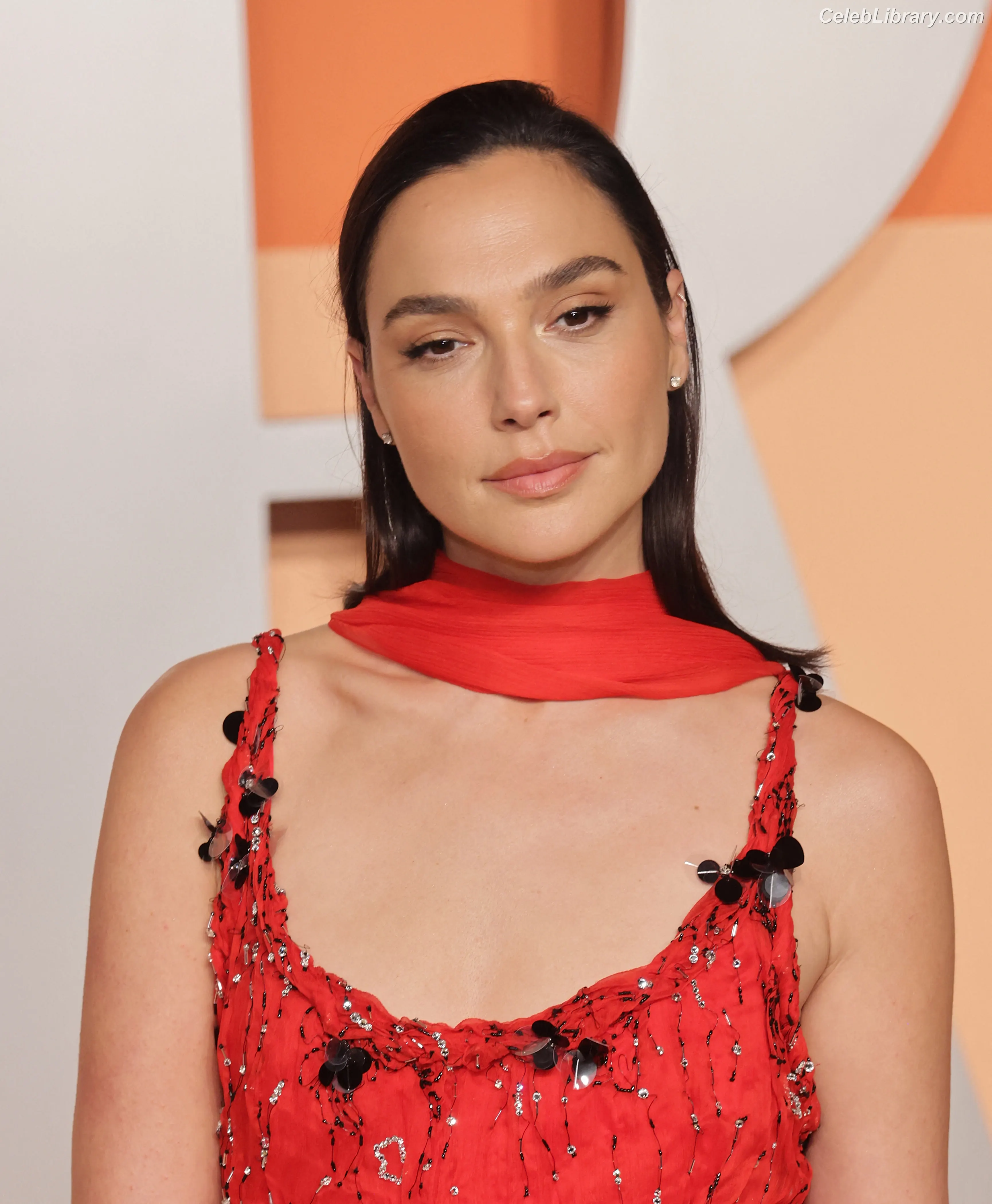 Gal Gadot photo 22 of 1473