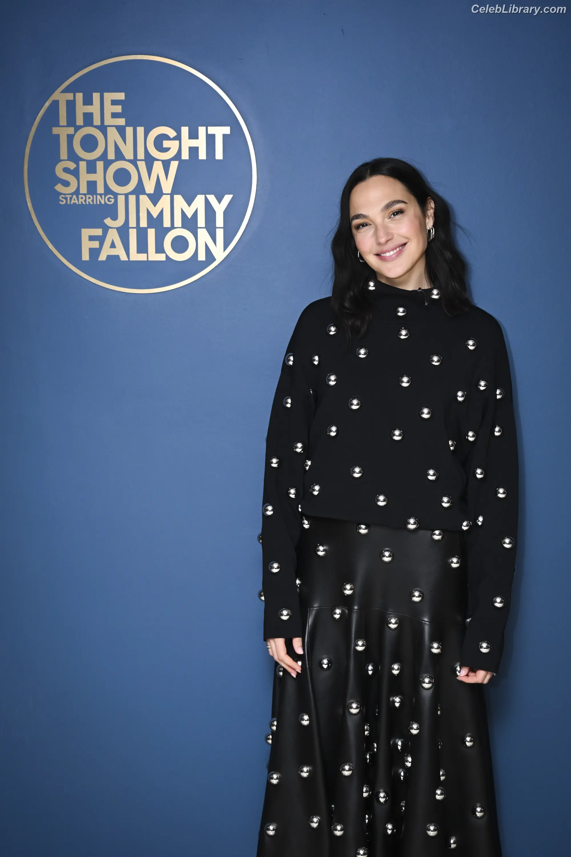 Gal Gadot photo 15 of 1473