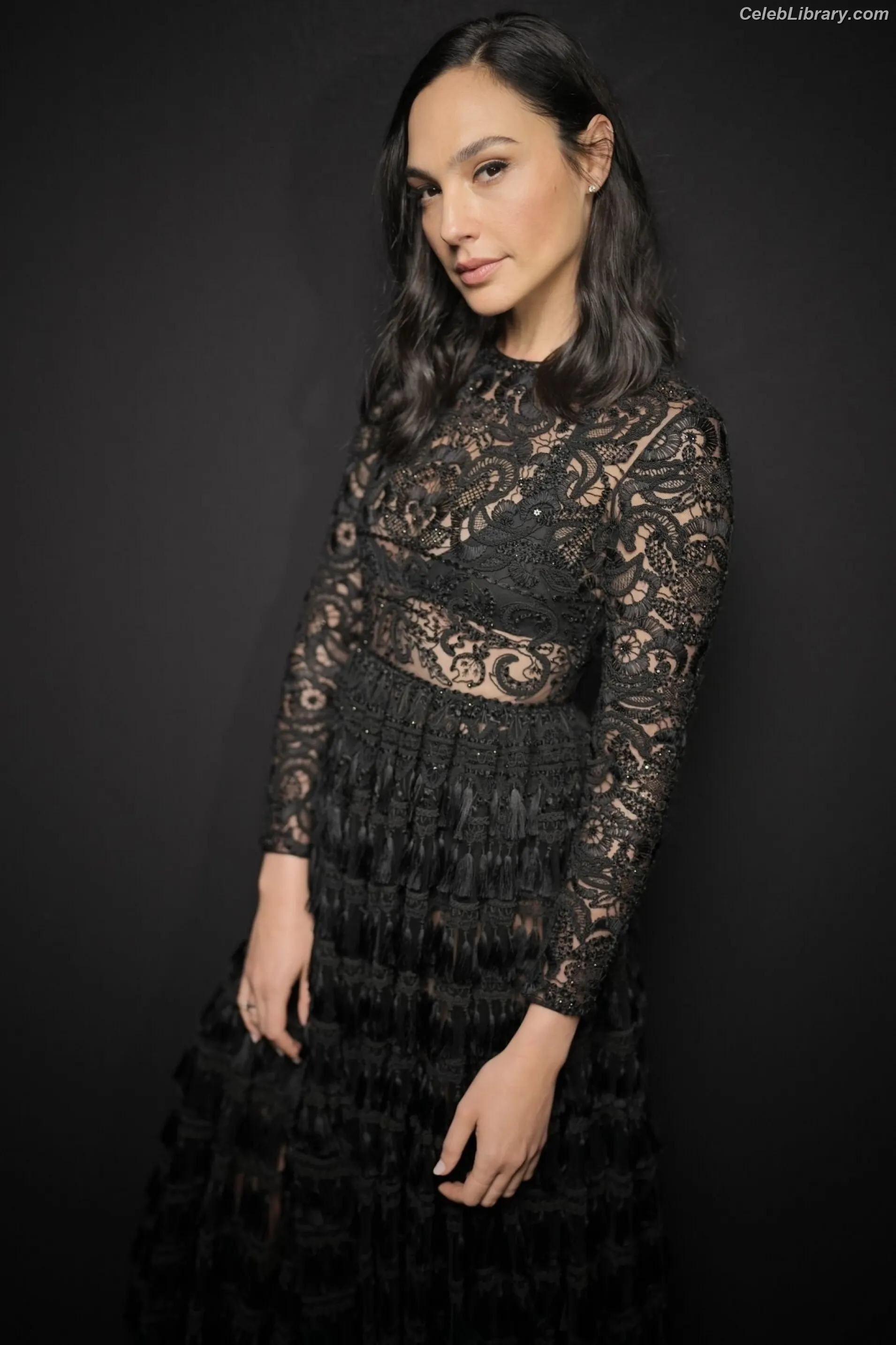 Gal Gadot photo 14 of 1473