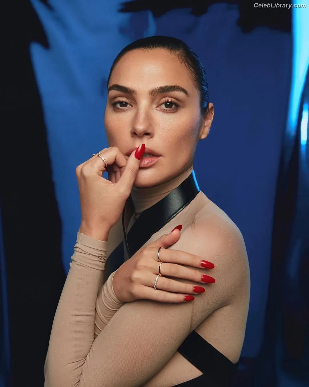Gal Gadot photo 1 of 1473