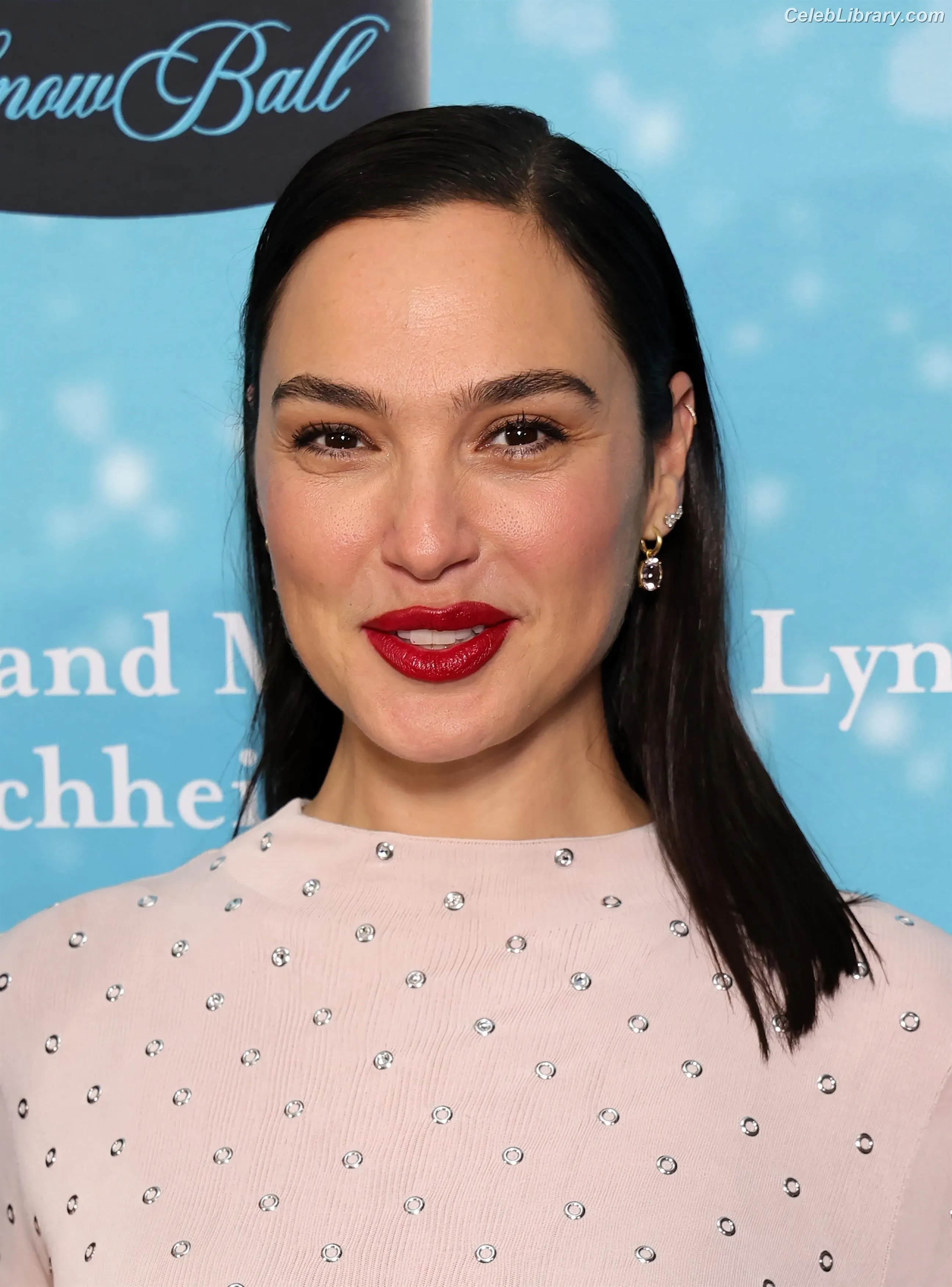 Gal Gadot photo 12 of 1473
