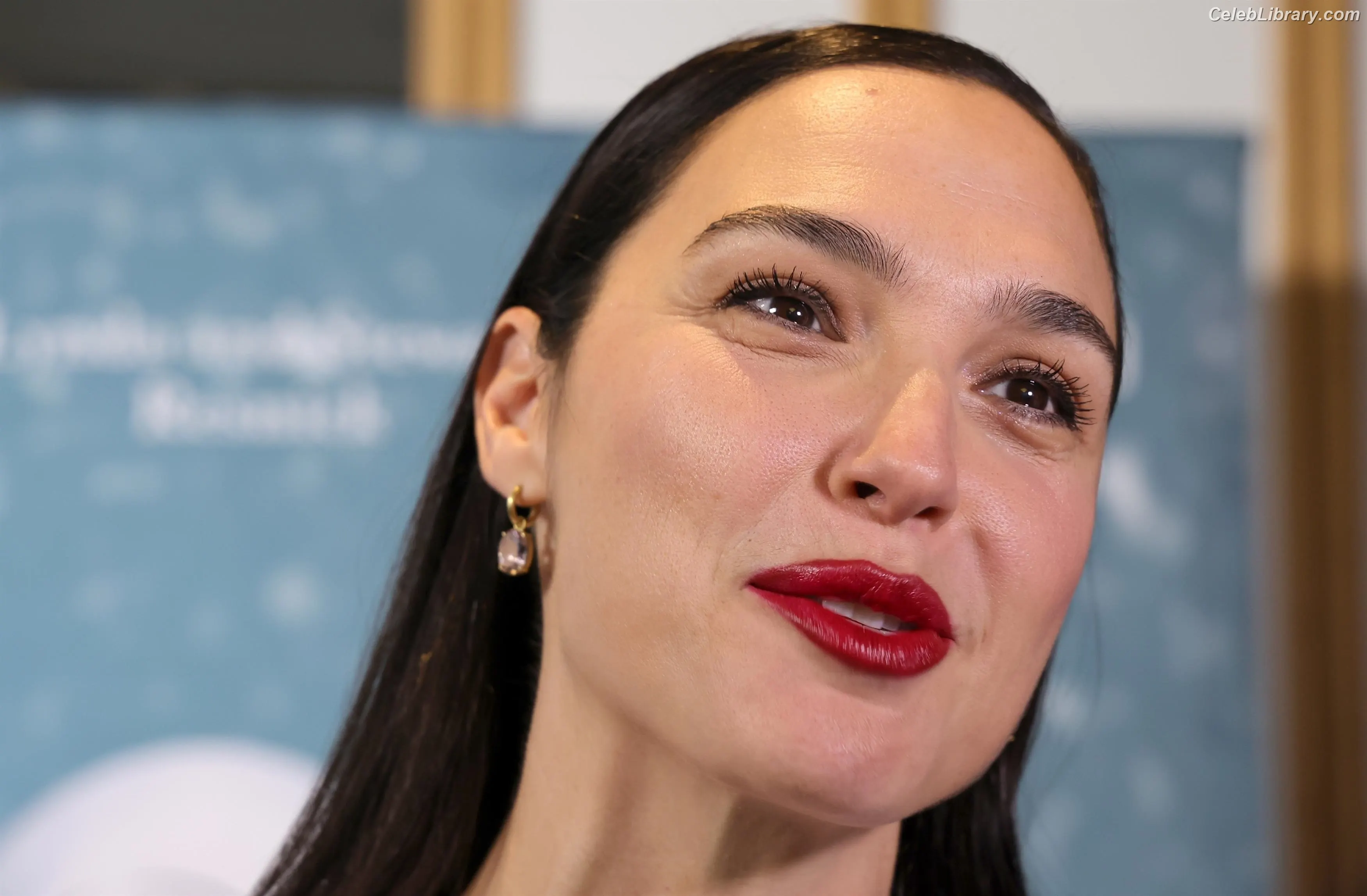 Gal Gadot photo 23 of 1473