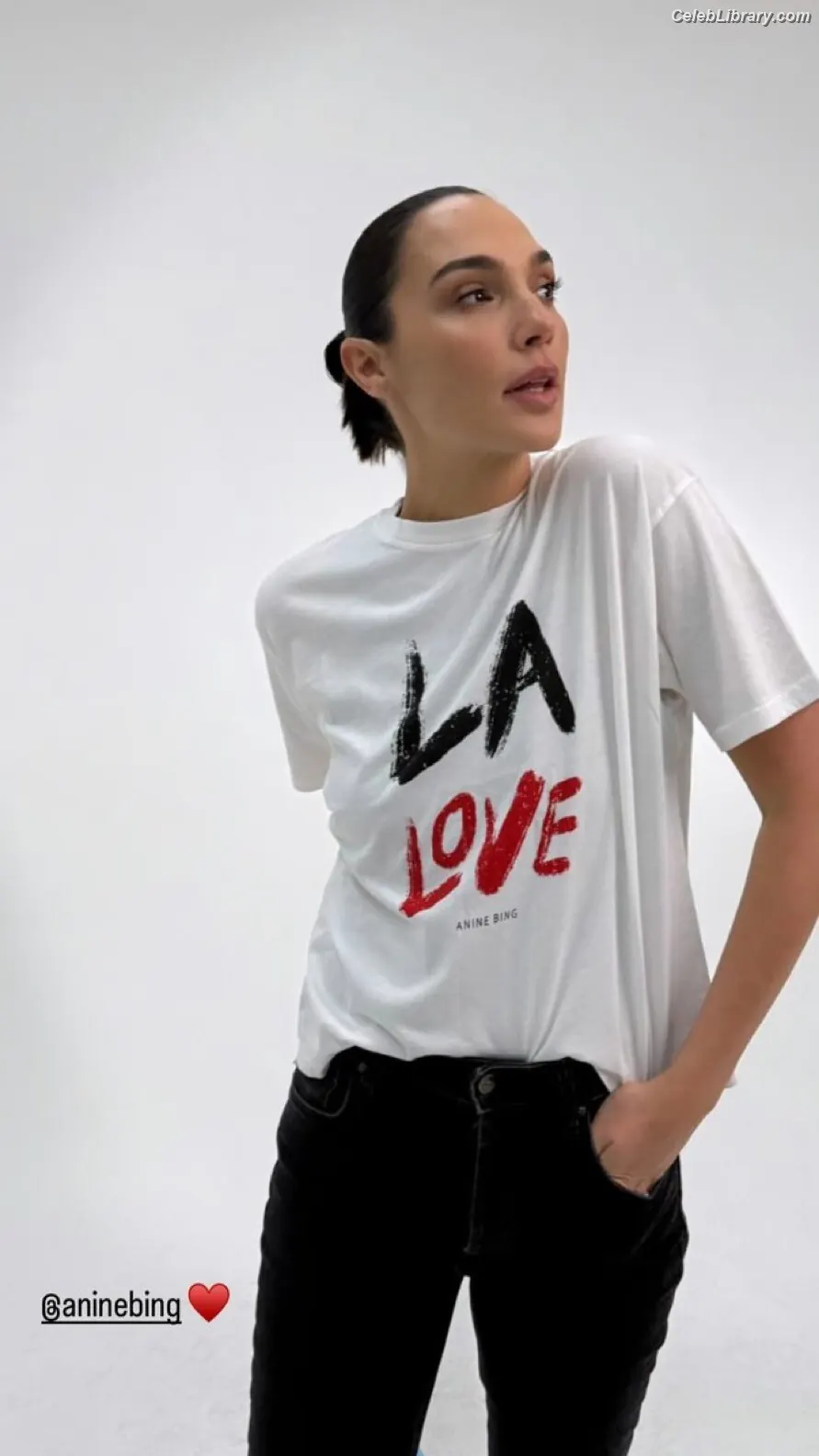 Gal Gadot photo 17 of 1473