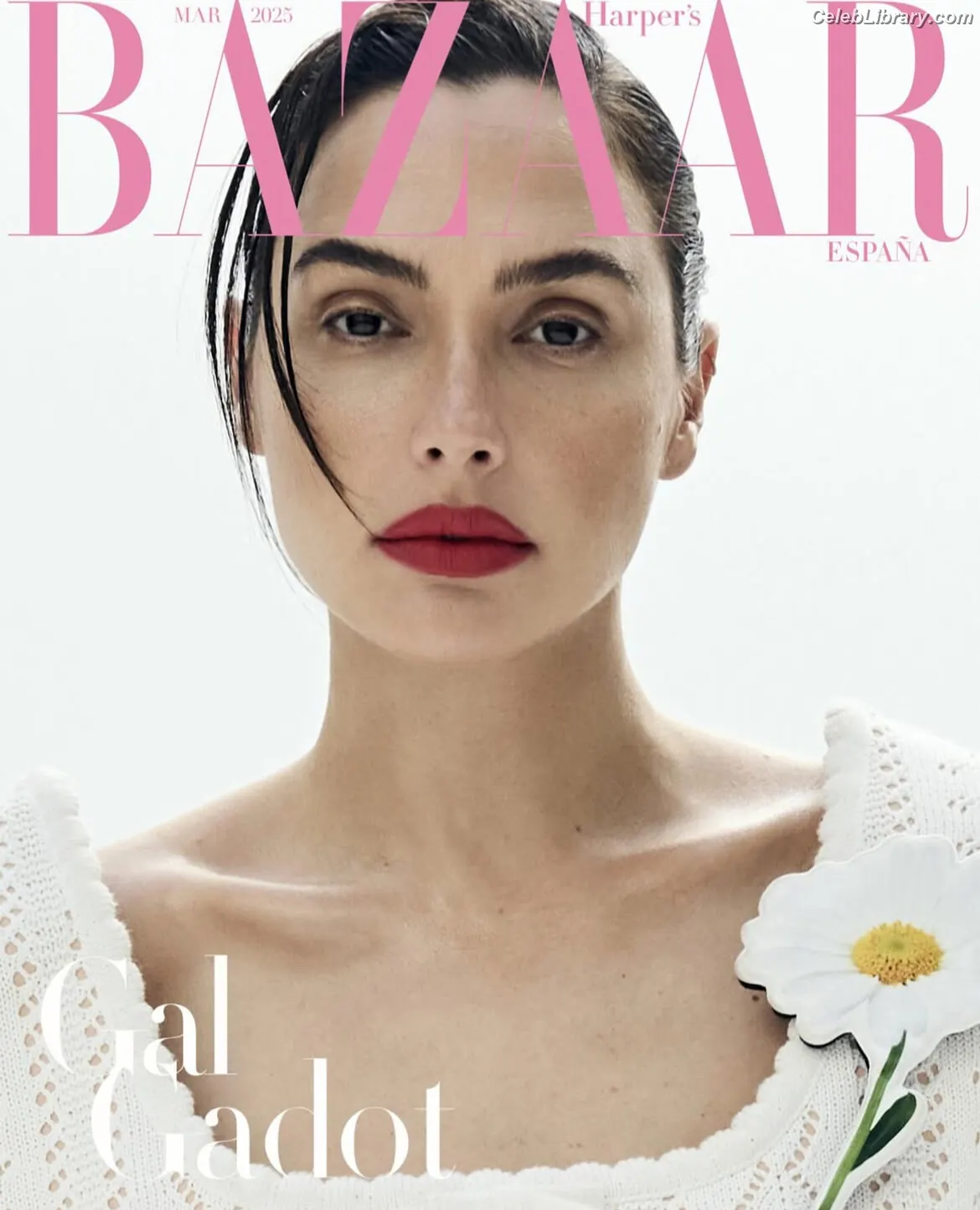 Gal Gadot photo 1 of 1473