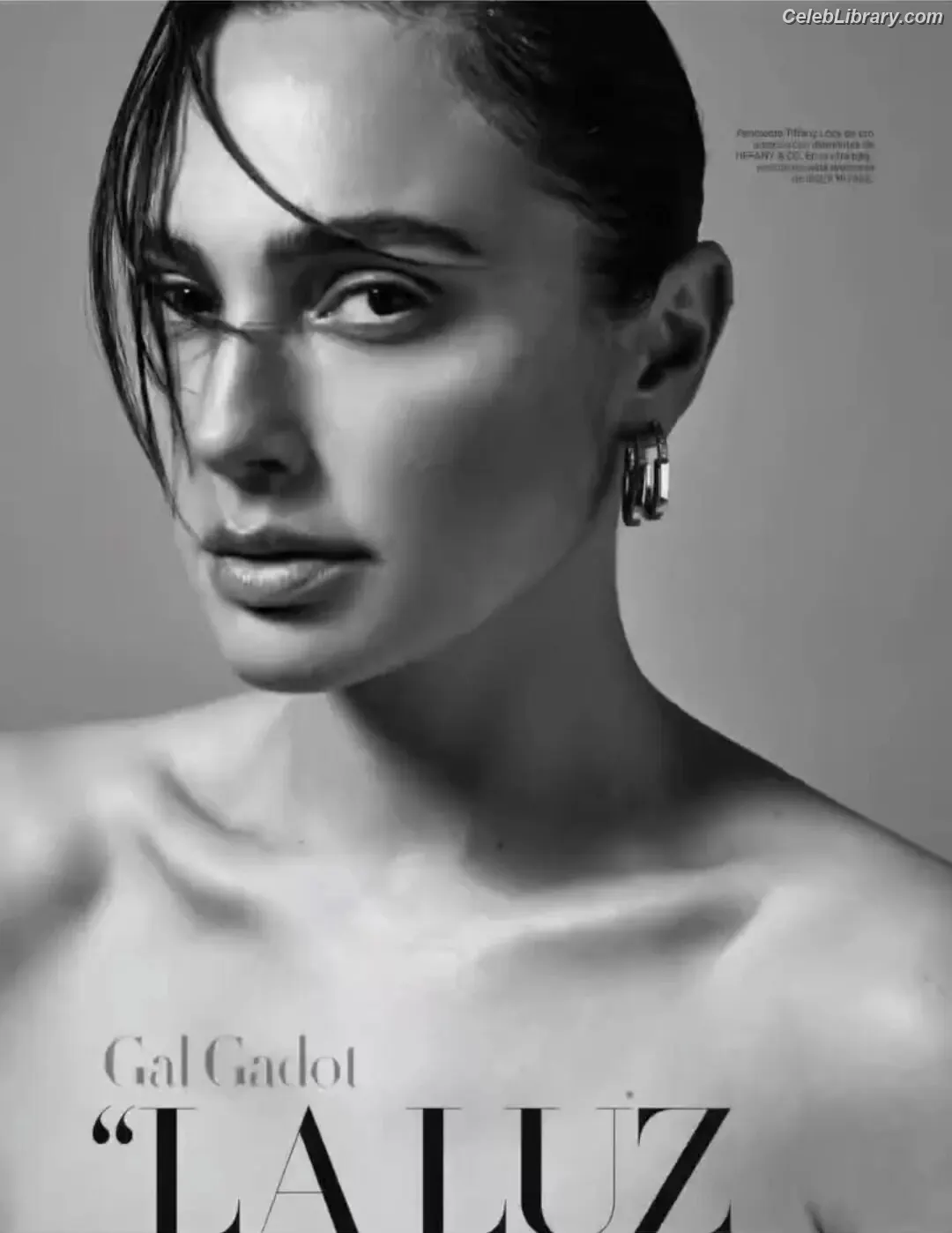 Gal Gadot photo 4 of 1473