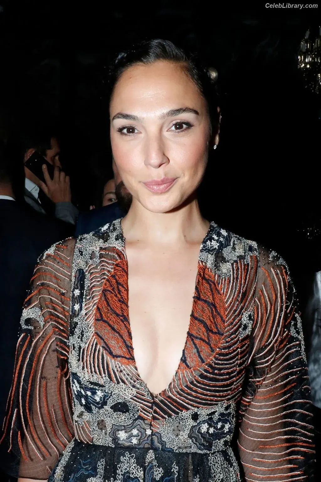 Gal Gadot photo 2 of 1473