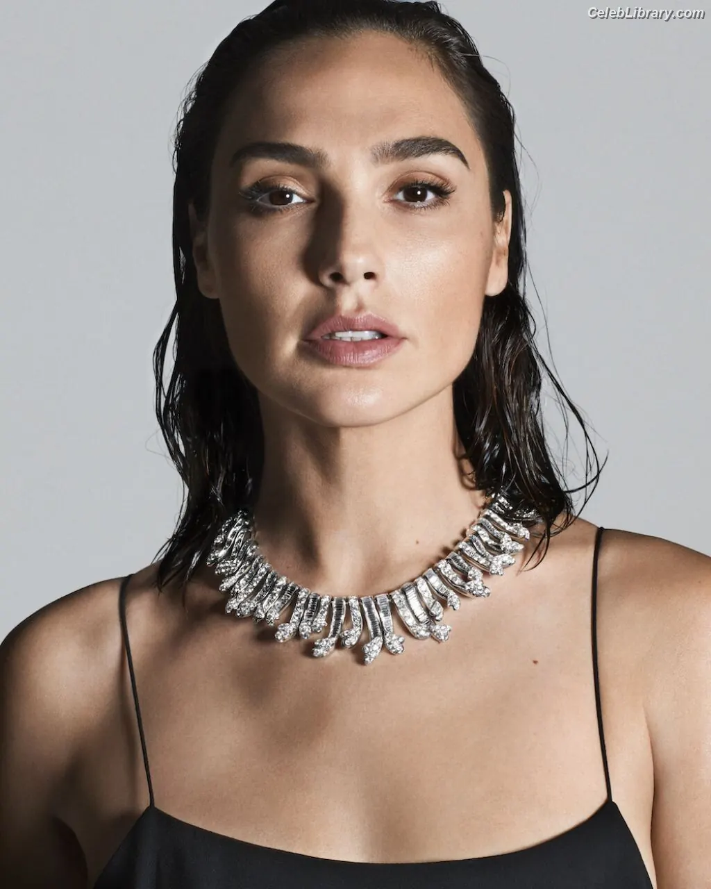 Gal Gadot photo 24 of 1473