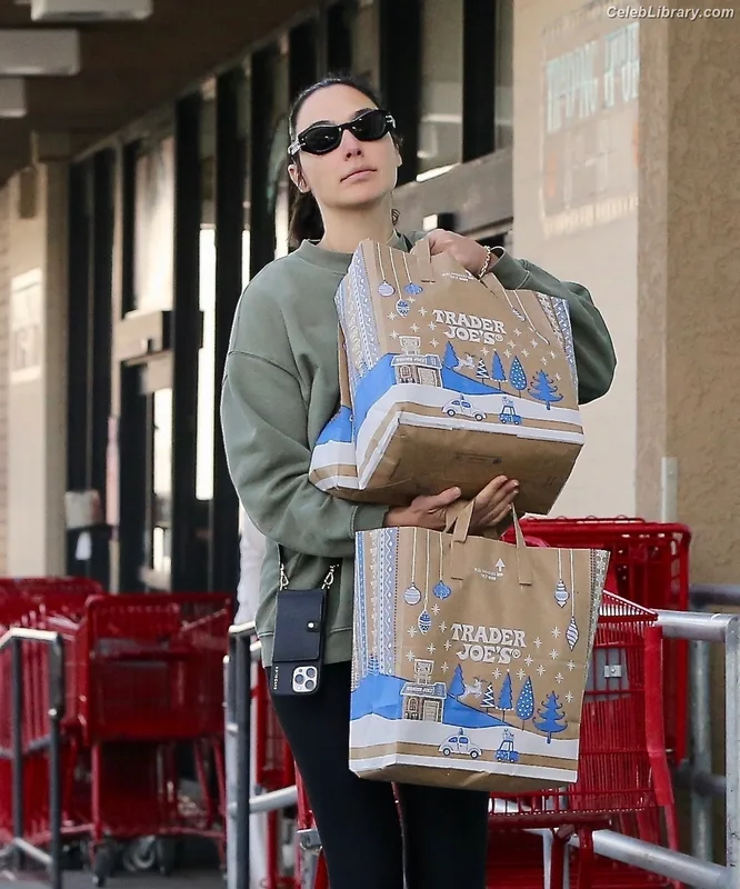 Gal Gadot photo 16 of 1471
