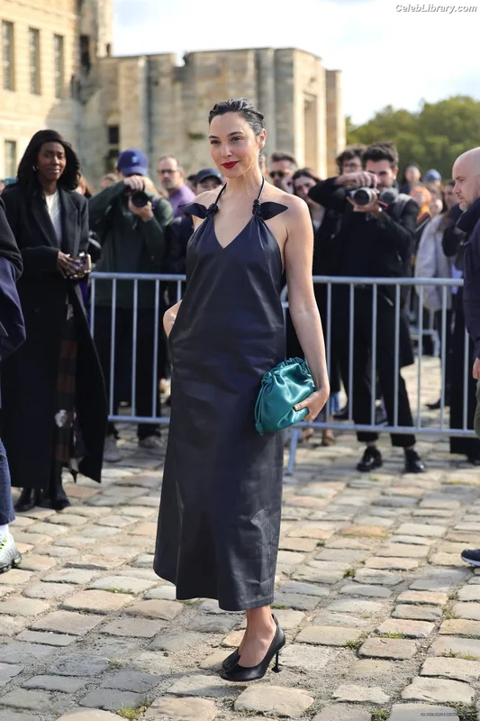Gal Gadot photo 13 of 1471