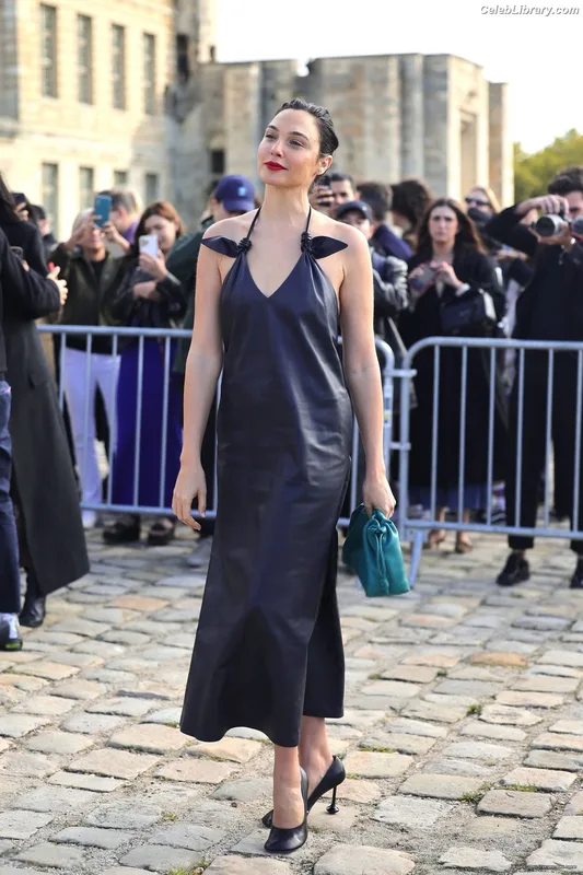 Gal Gadot photo 15 of 1471