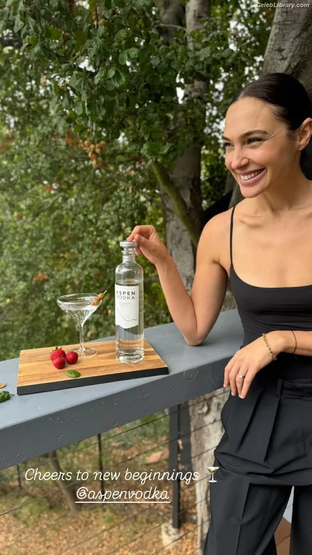 Gal Gadot photo 22 of 1471