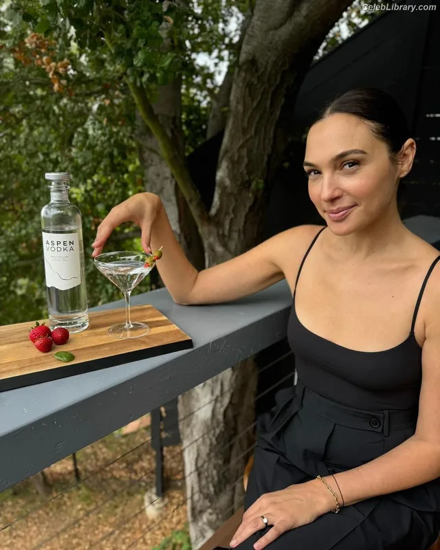 Gal Gadot photo 23 of 1471