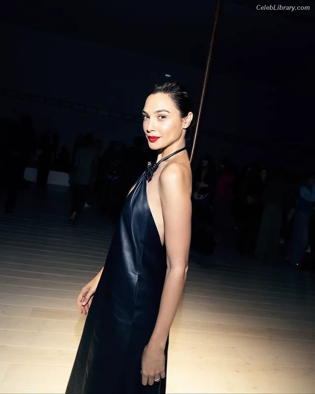 Gal Gadot photo 23 of 1471