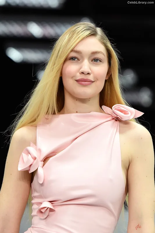 Gigi Hadid photo 18 of 763