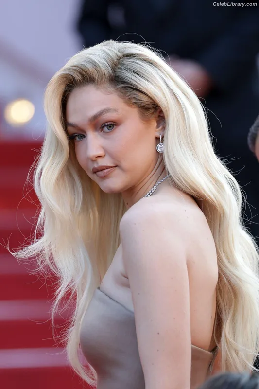 Gigi Hadid photo 23 of 763