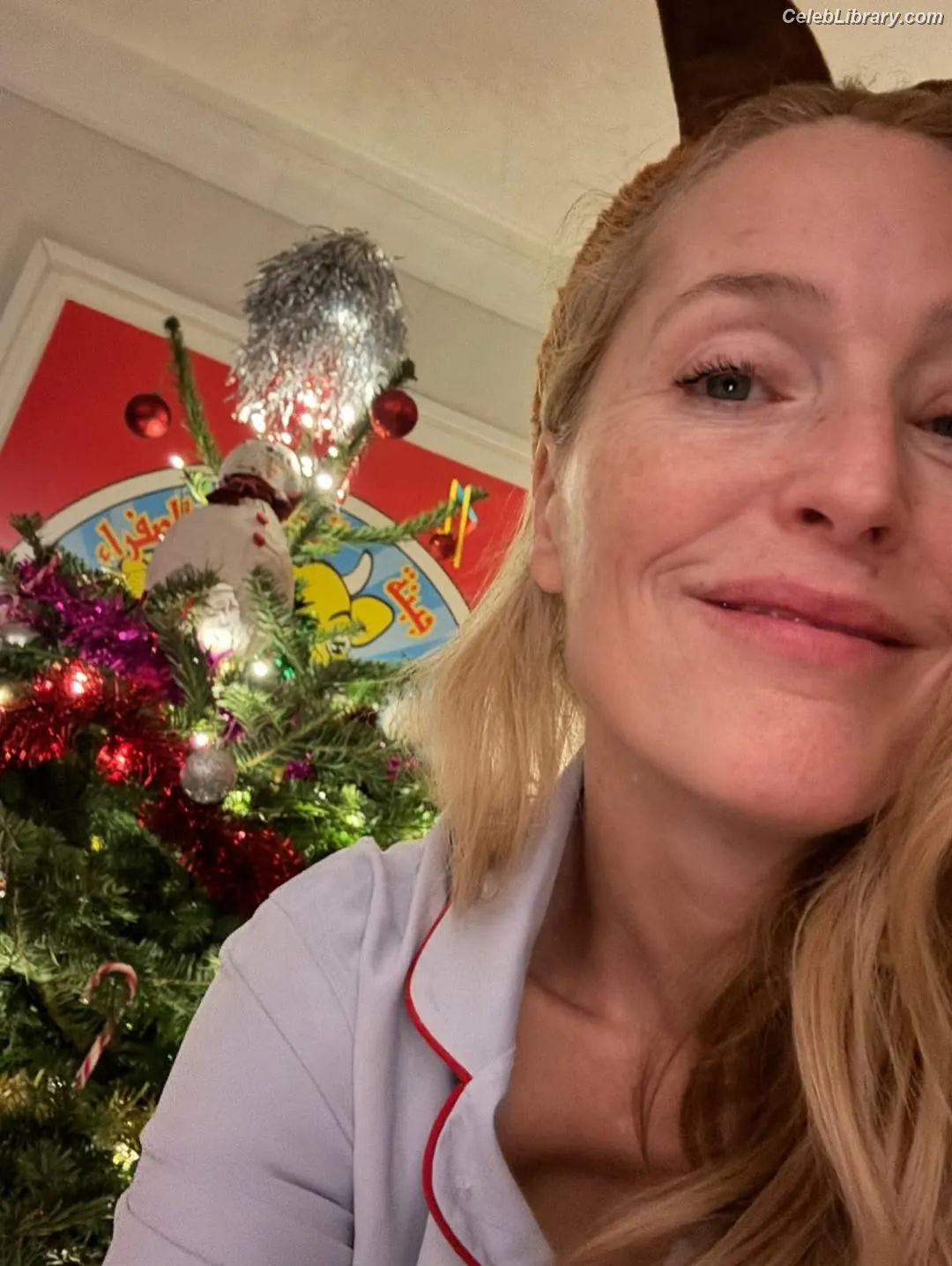 Gillian Anderson photo 10 of 501