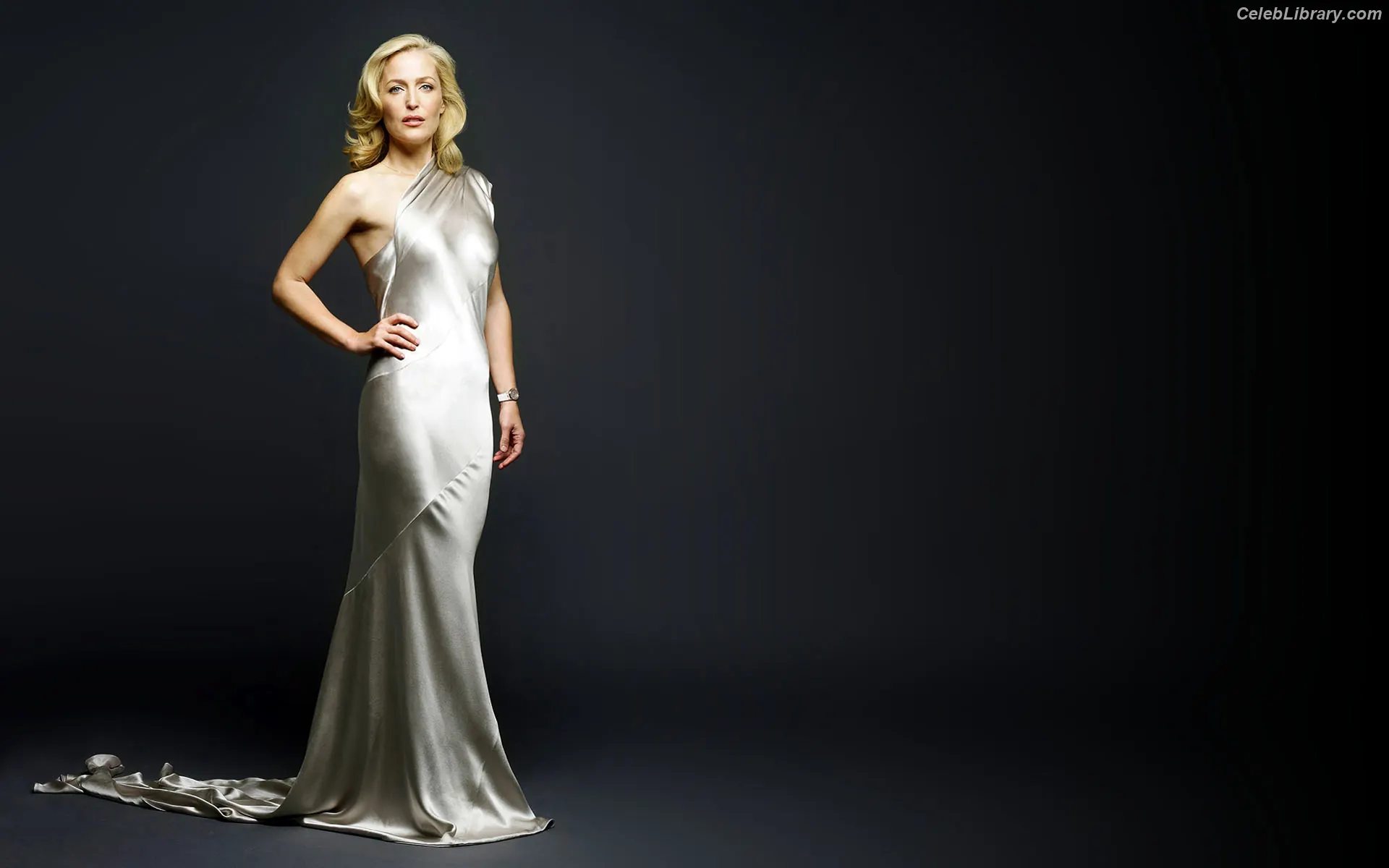 Gillian Anderson photo 11 of 501