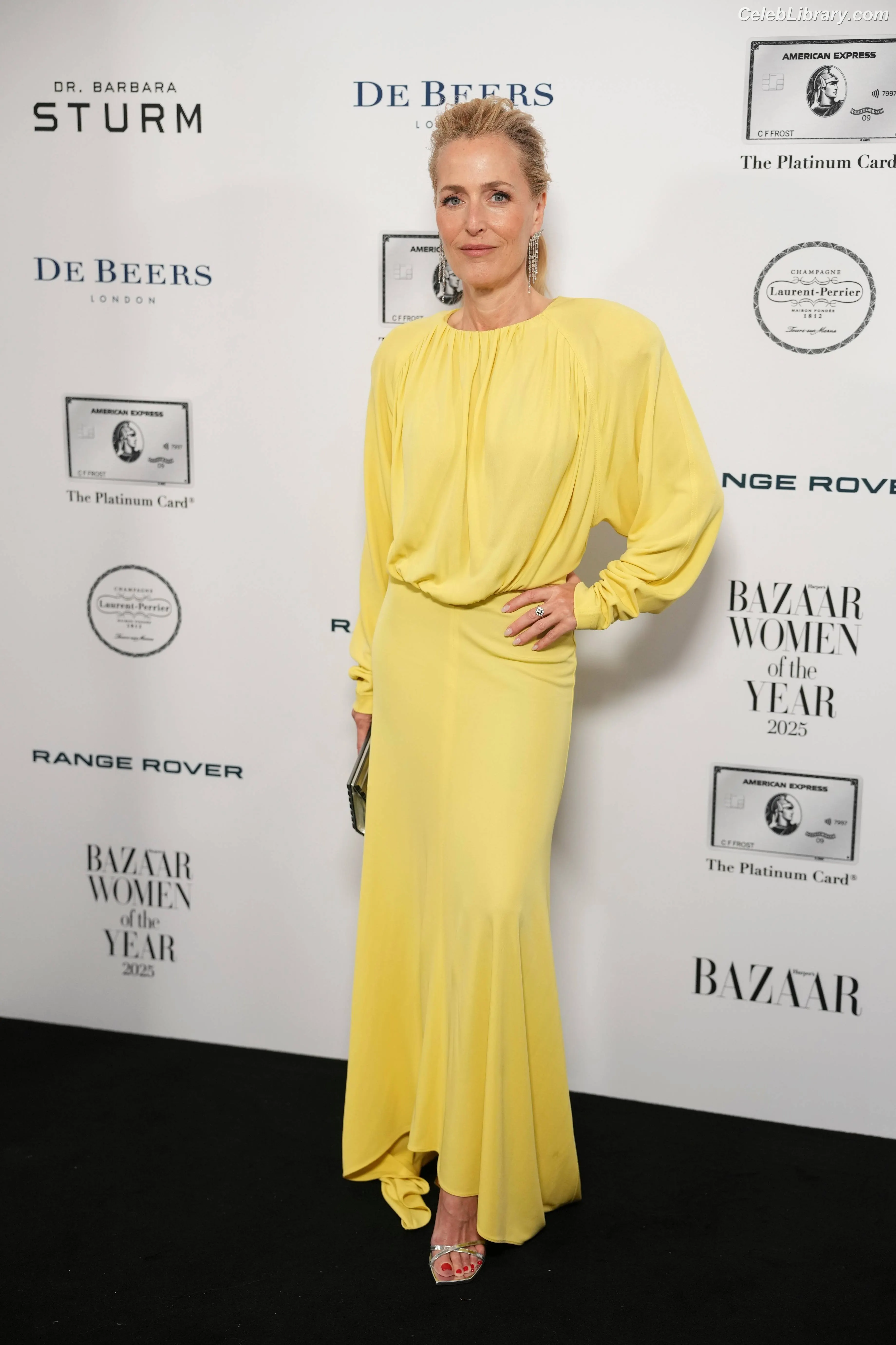 Gillian Anderson photo 20 of 501
