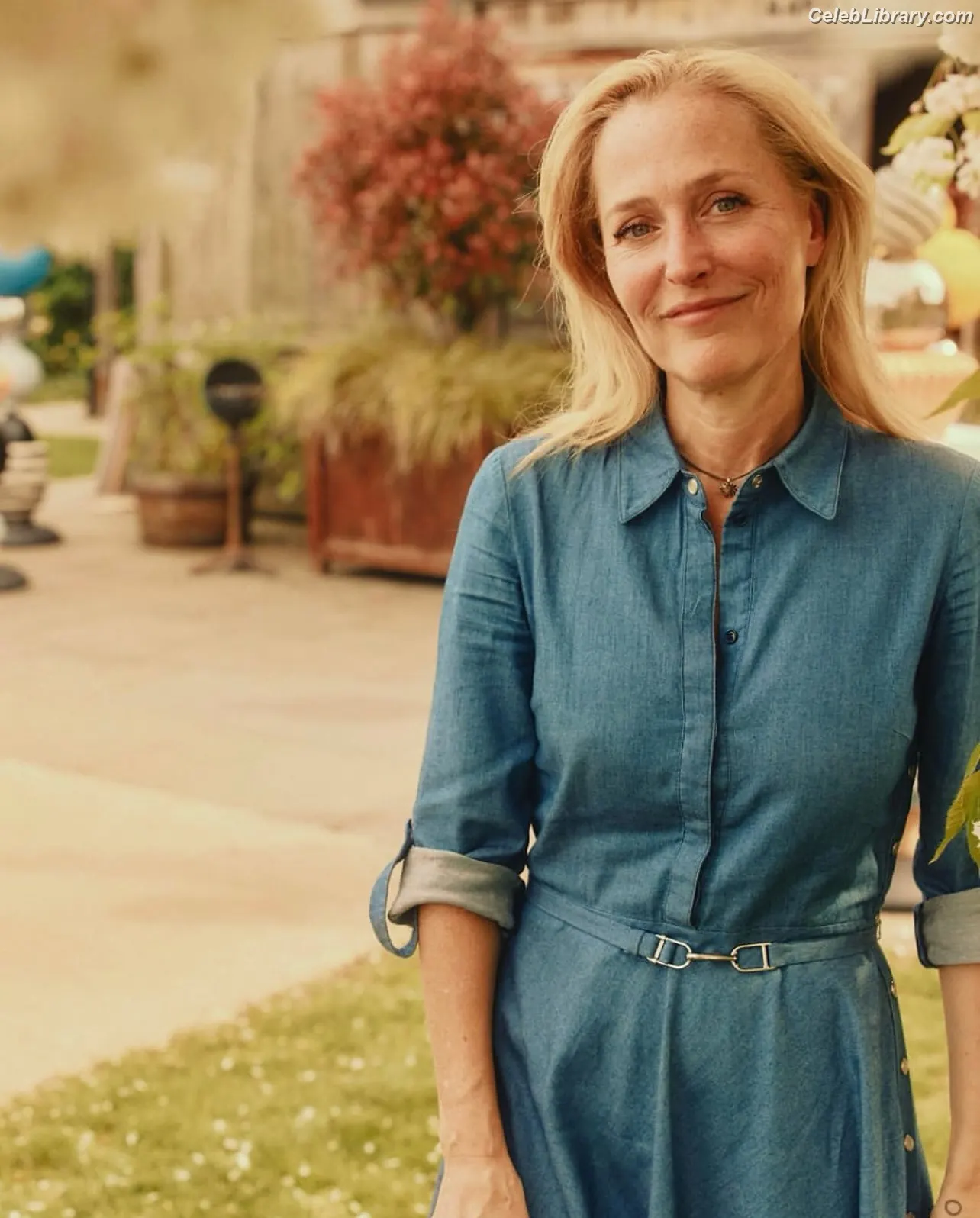 Gillian Anderson photo 16 of 501