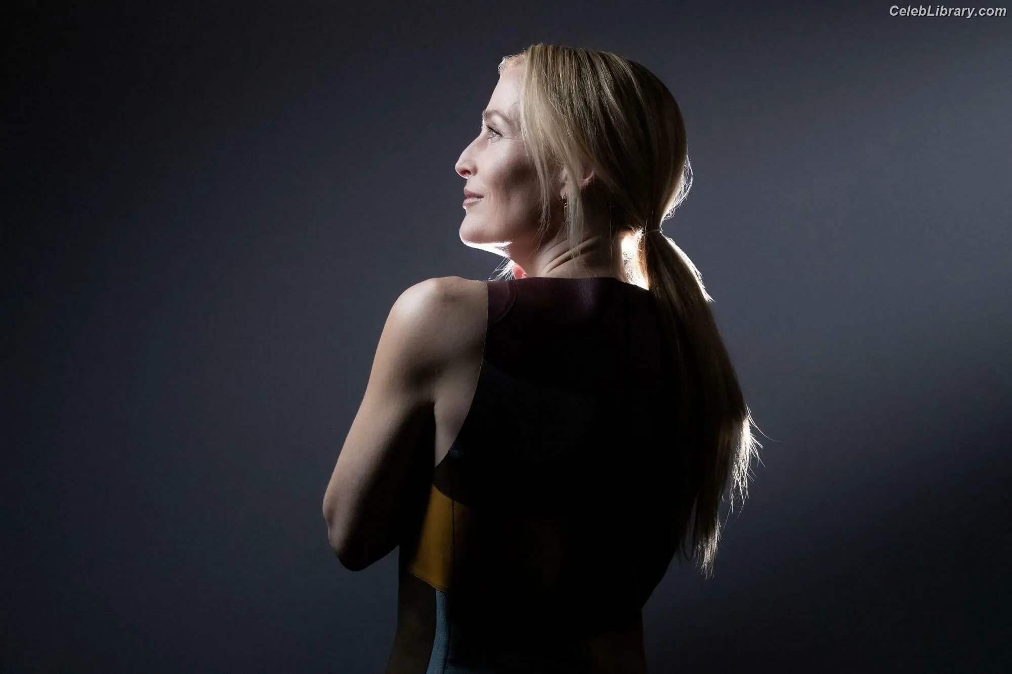 Gillian Anderson photo 18 of 501
