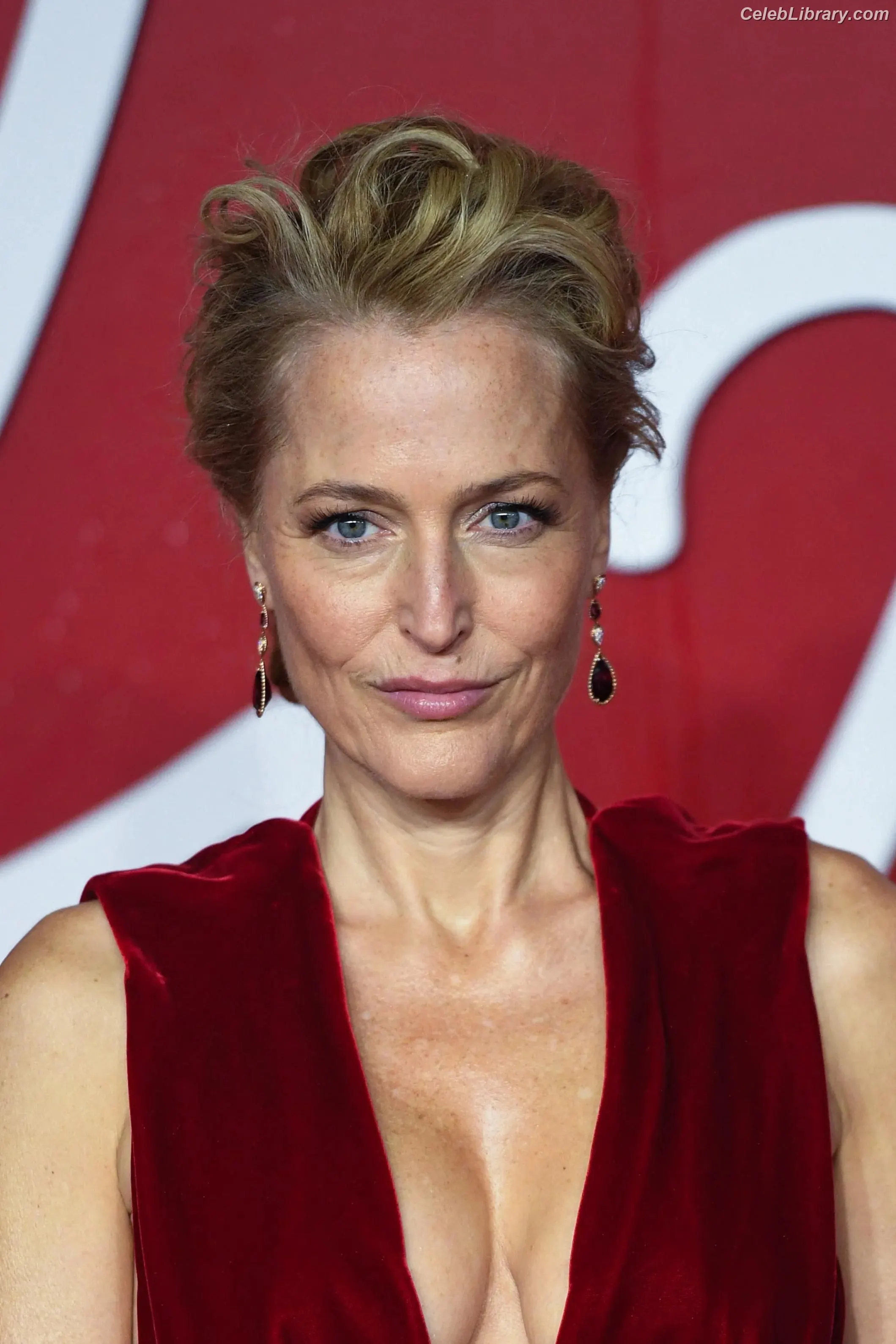 Gillian Anderson photo 21 of 501