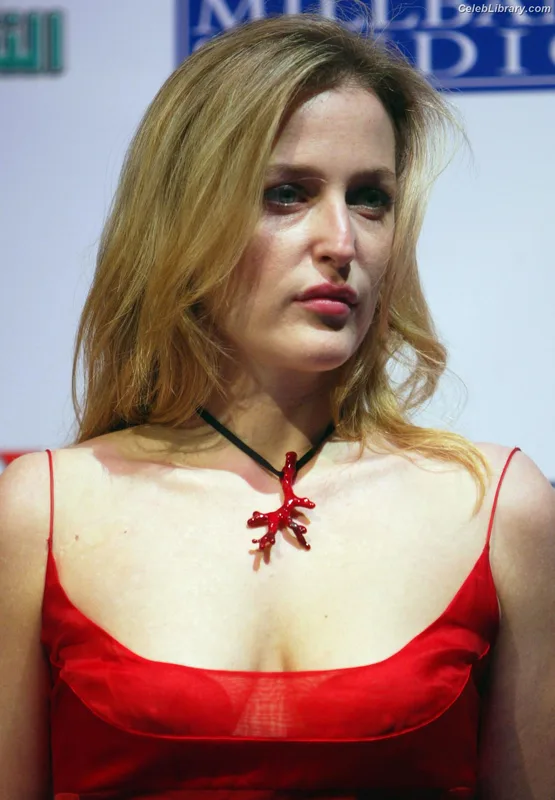 Gillian Anderson photo 13 of 503
