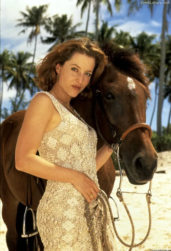 Gillian Anderson photo 1 of 503