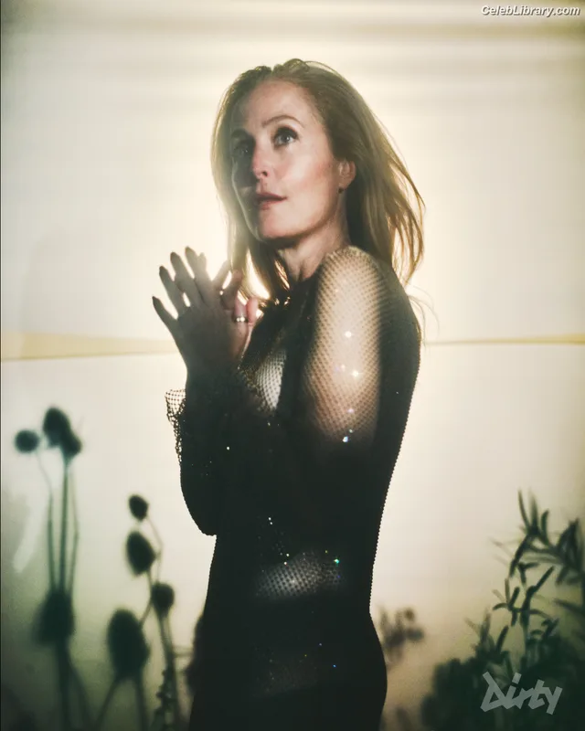 Gillian Anderson photo 18 of 503