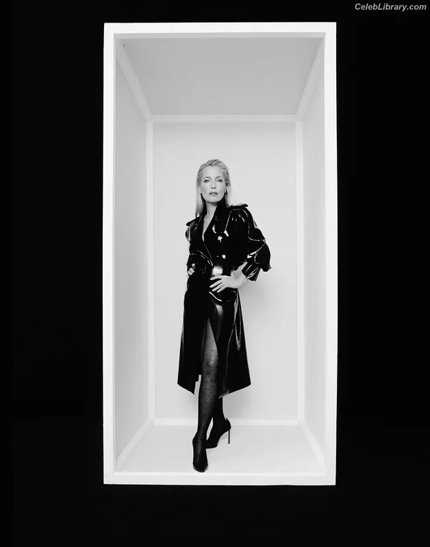 Gillian Anderson photo 22 of 503