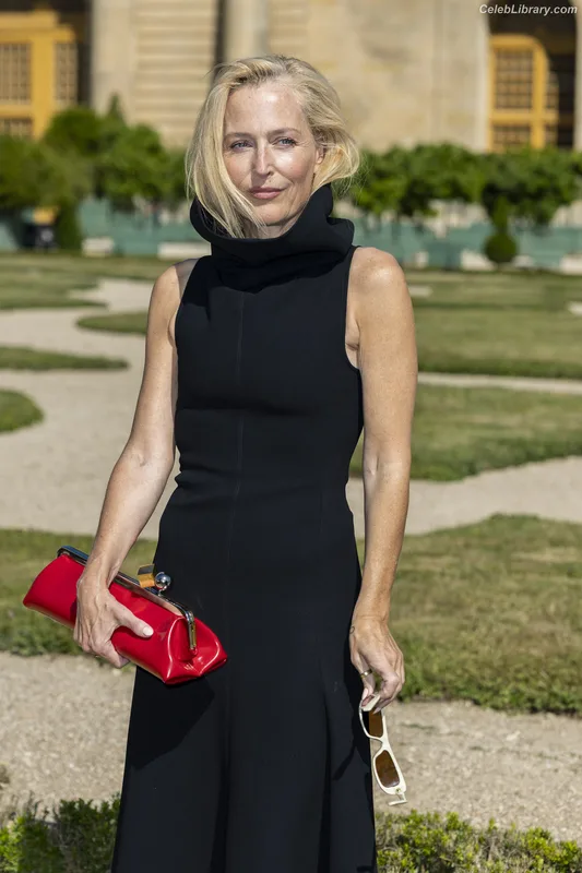 Gillian Anderson photo 1 of 503