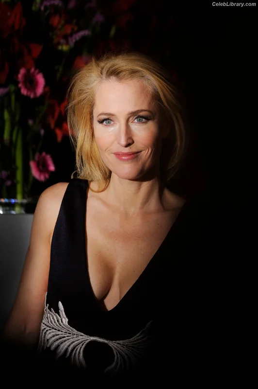 Gillian Anderson photo 8 of 503
