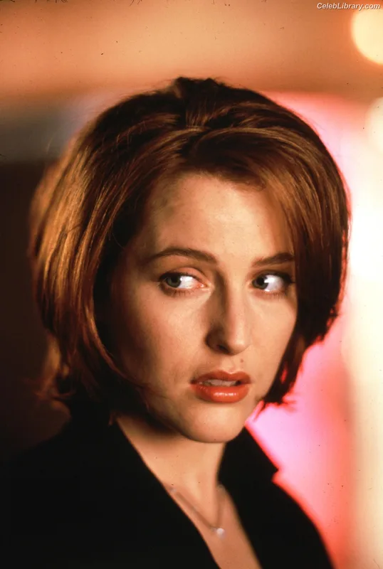 Gillian Anderson photo 3 of 503
