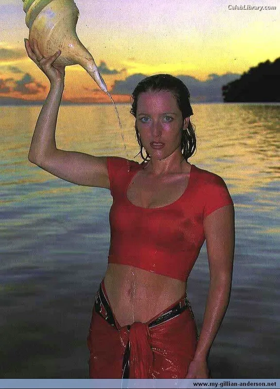 Gillian Anderson photo 21 of 503