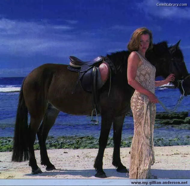 Gillian Anderson photo 2 of 503