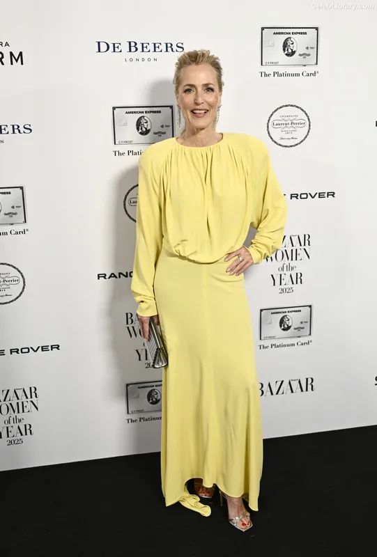 Gillian Anderson photo 21 of 503