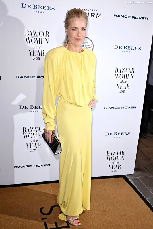 Gillian Anderson photo 2 of 503