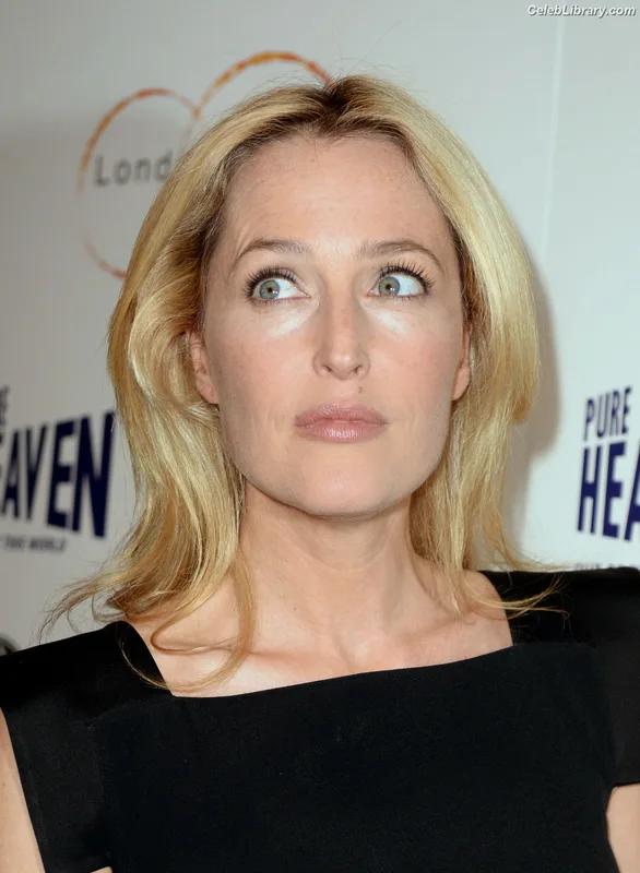 Gillian Anderson photo 4 of 503
