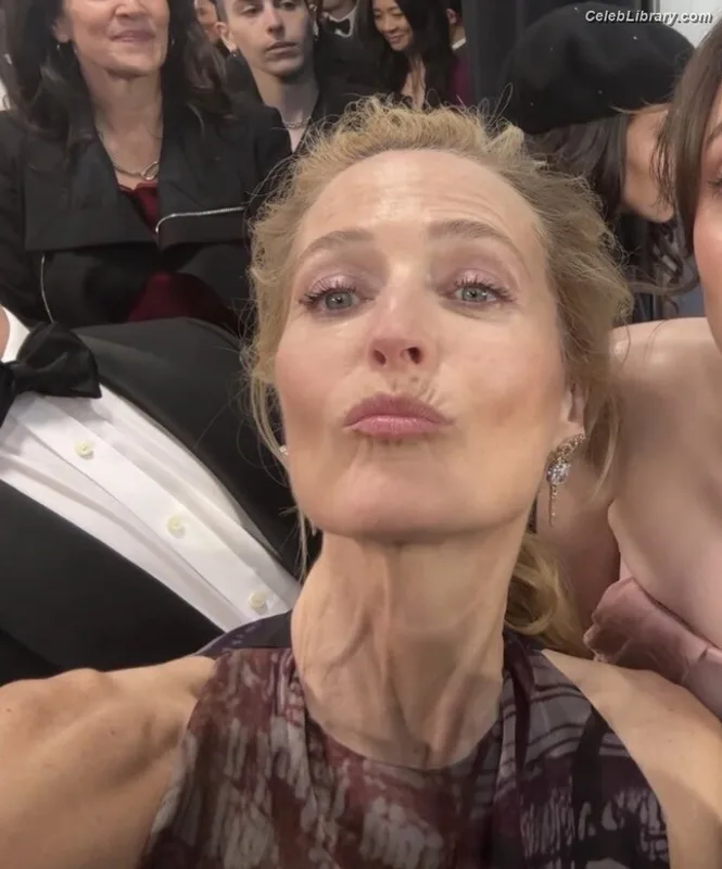 Gillian Anderson photo 23 of 503