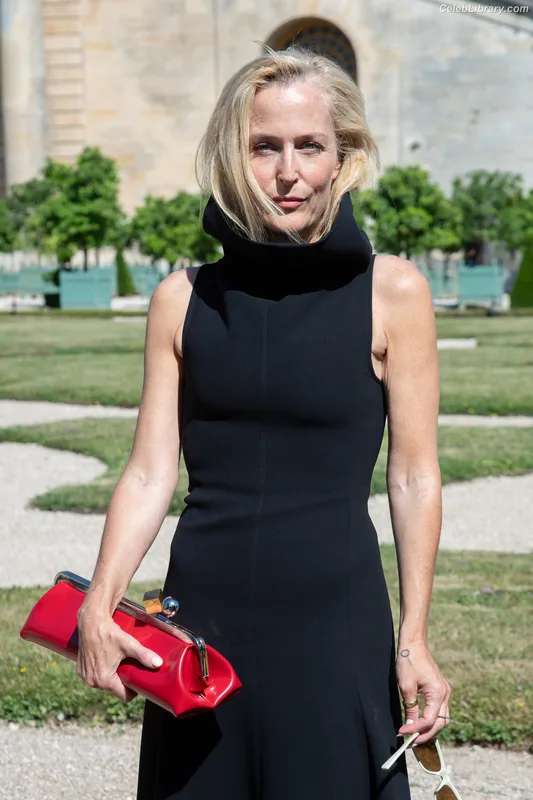 Gillian Anderson photo 21 of 503