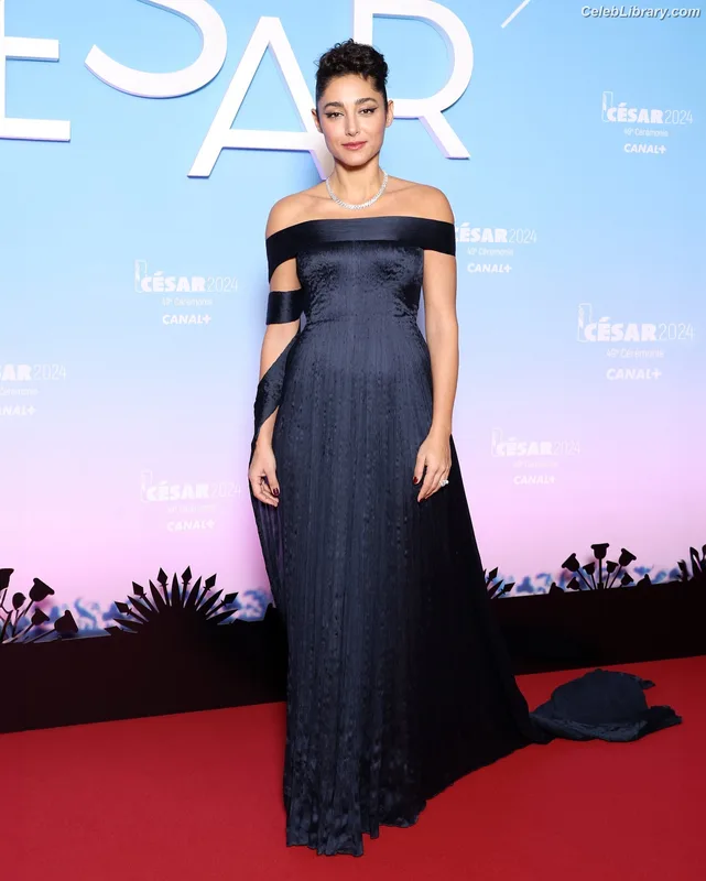 Golshifteh Farahani photo 12 of 38