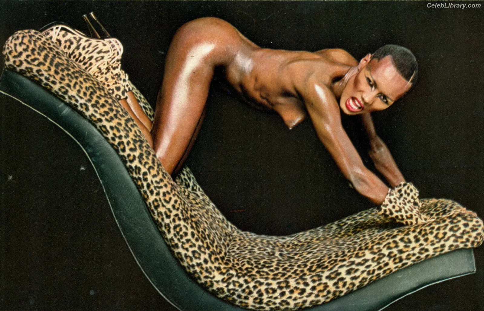Grace Jones photo 4 of 63
