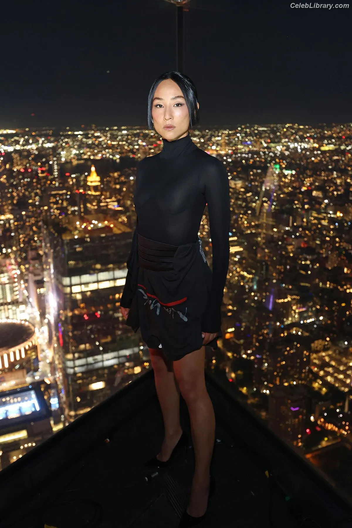 Greta Lee photo 19 of 102