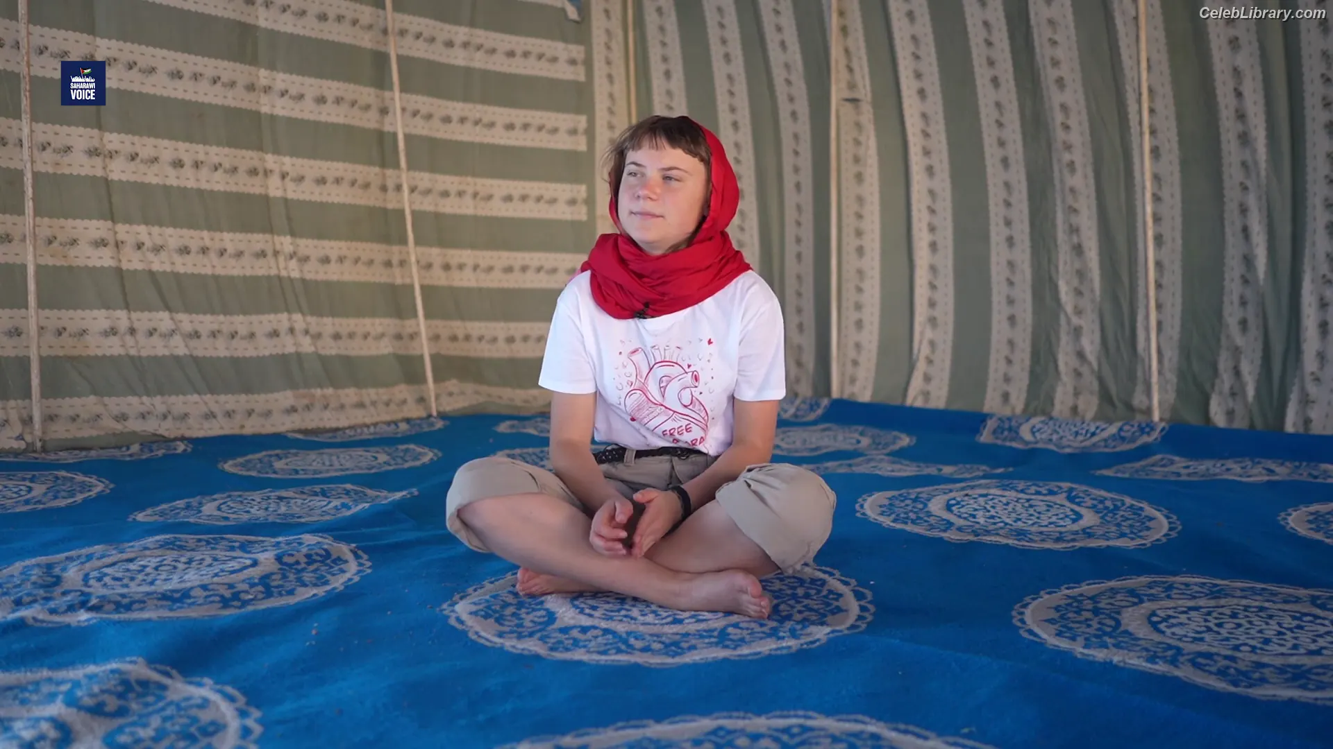 Greta Thunberg photo 15 of 45