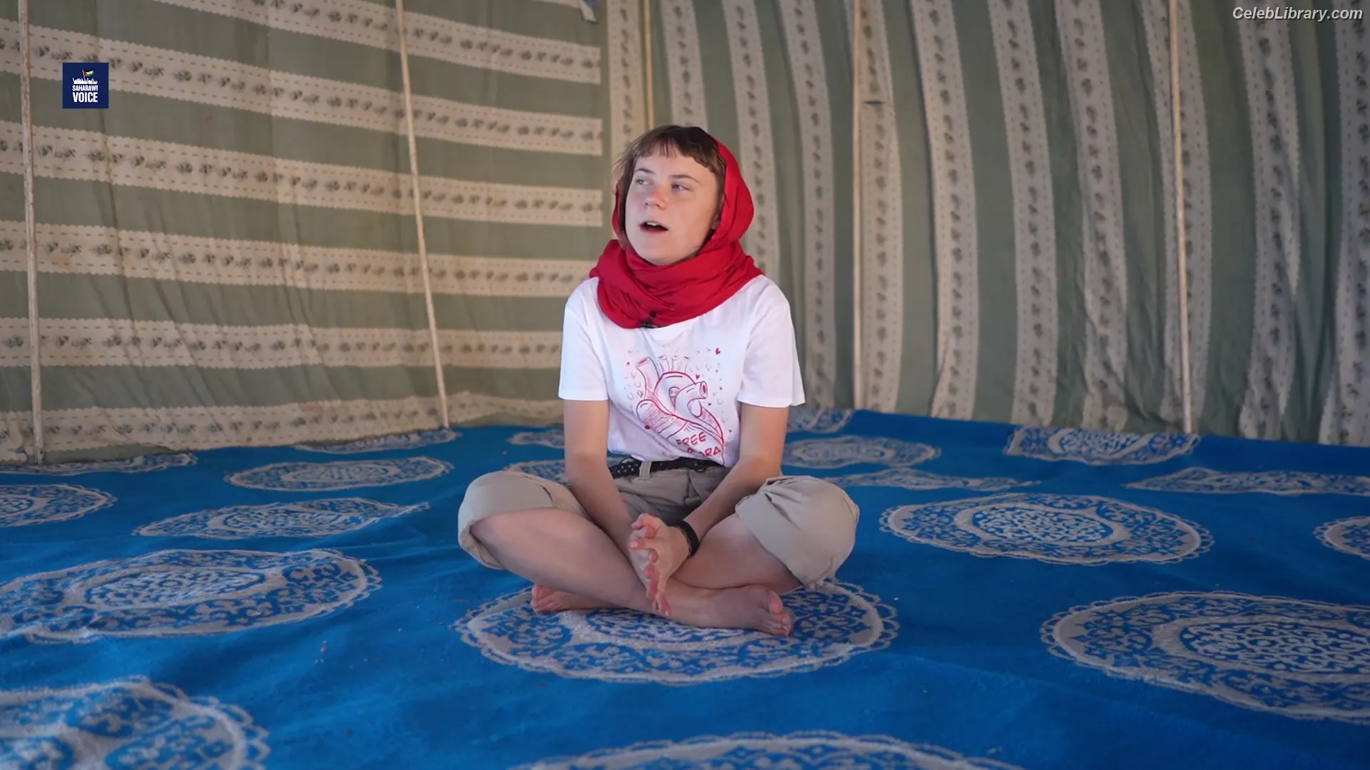 Greta Thunberg photo 16 of 45