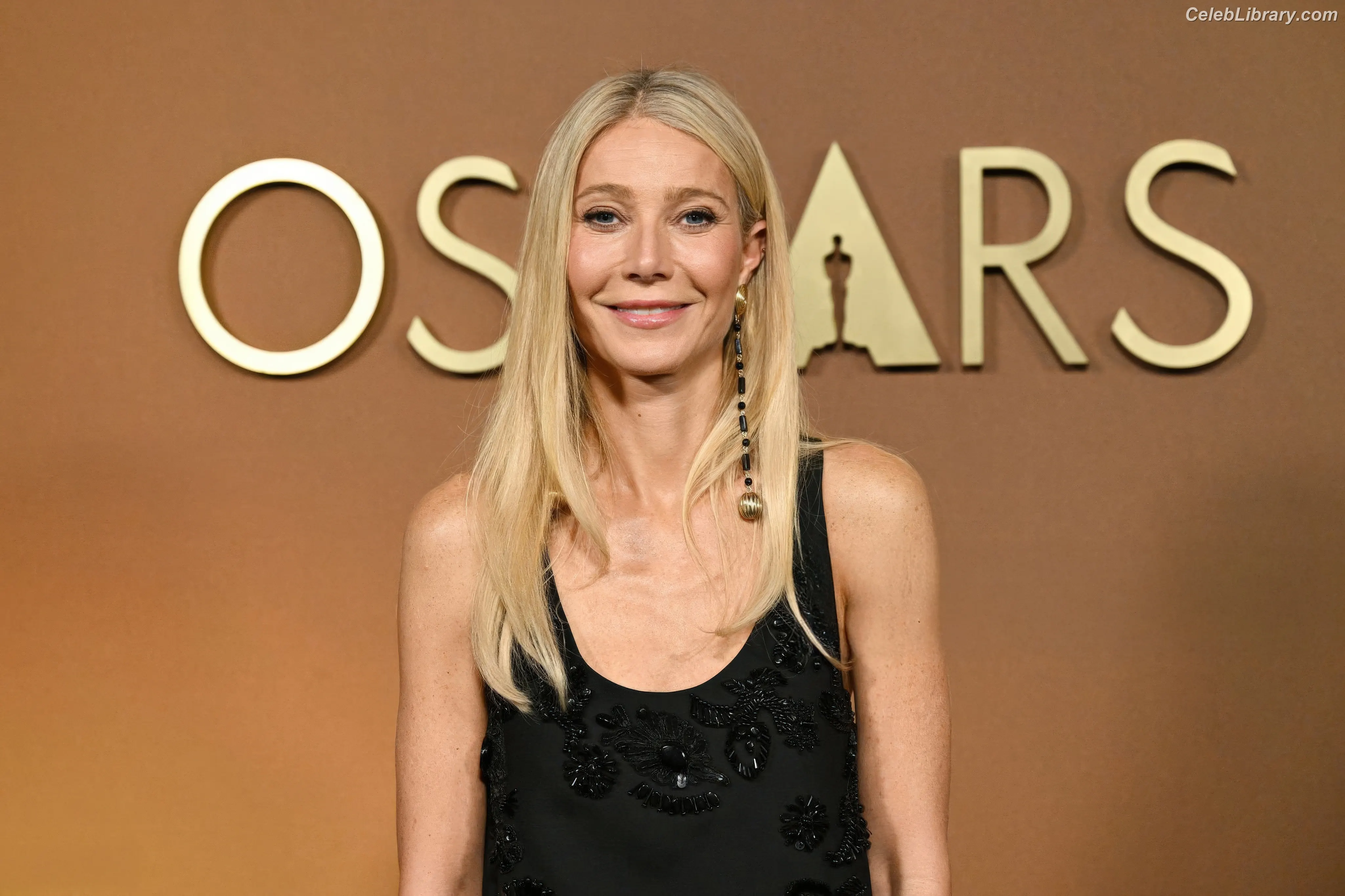 Gwyneth Paltrow photo 9 of 297